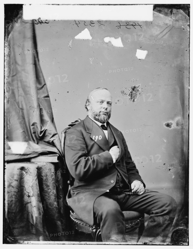 Professor Julius Erasmus Hilgard, between 1860 and 1875. Creator: Unknown.