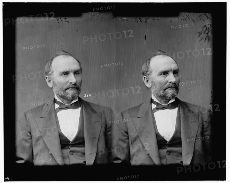 Richard Henry Whiting of Illinois, between 1865 and 1880. Creator: Unknown.