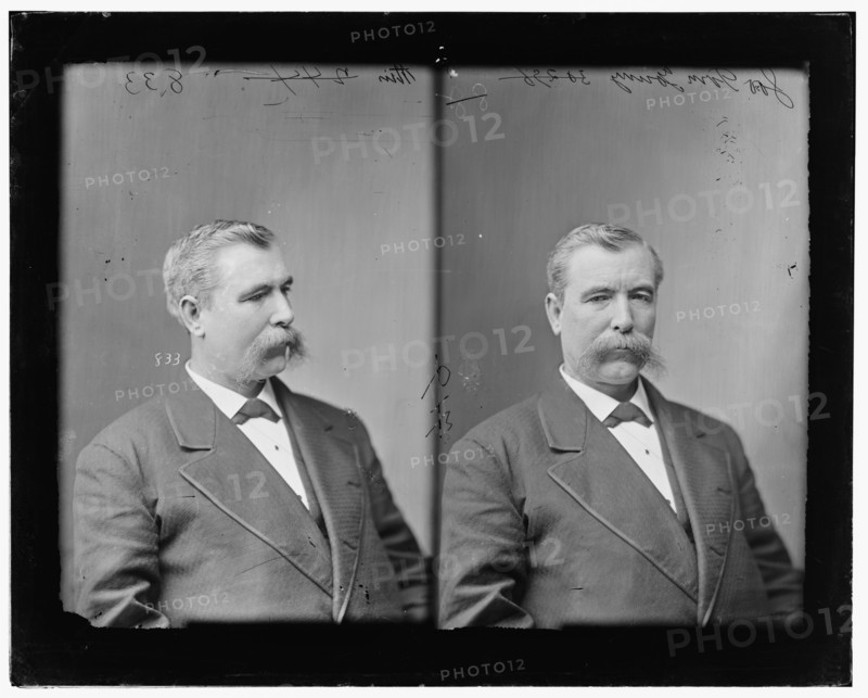 Thomas Lowry Young of Ohio, 1865-1880. Creator: Unknown.
