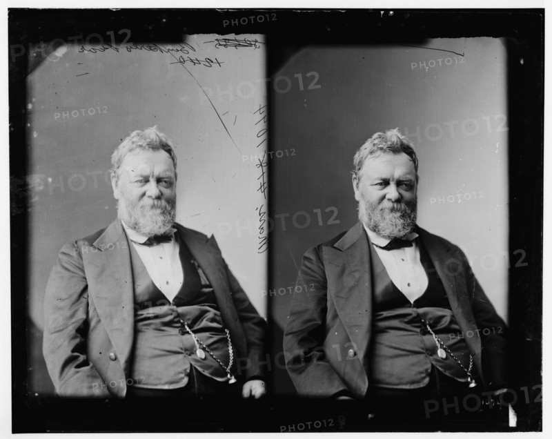 Benjamin Perley Poore of Massachusetts, 1865-1880. Creator: Unknown.