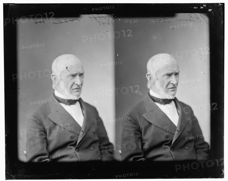 Charles O'Conor, Irish Patriot, 1865-1880. Creator: Unknown.
