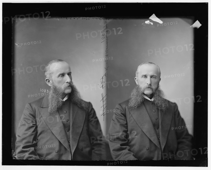 R.K. Bachman of Pennsylvania, 1865-1880. Creator: Unknown.