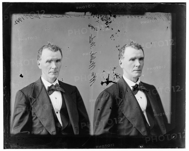 William Walsh of Maryland, 1865-1880.  Creator: Unknown.
