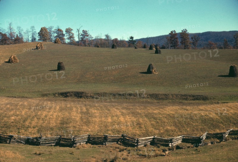 Field of a mountain farm along the Skyline Drive in Virginia, ca. 1940. Creator: Jack Delano.