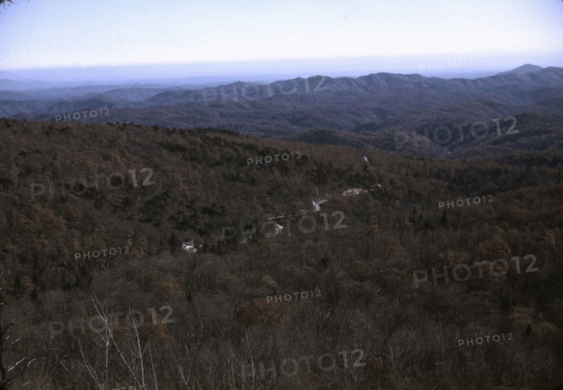 View in the mountains along Skyline Drive in Virginia, ca. 1940. Creator: Jack Delano.