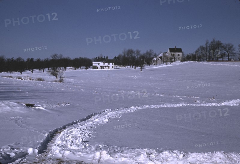 Massachusetts farm, possibly around Brockton, Mass., ca. 1940. Creator: Jack Delano.