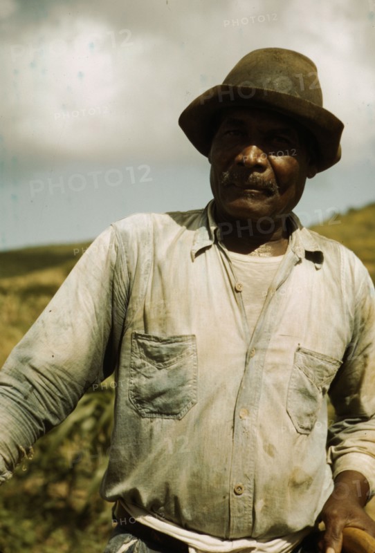 Farm Security Administration borrower, vicinity of Frederiksted, St. Croix, Virgin Islands, 1941. Creator: Jack Delano.