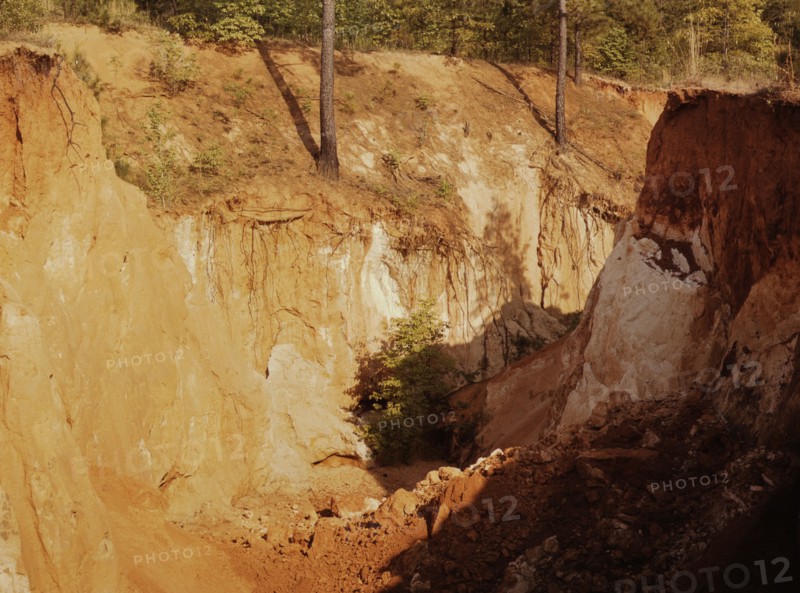 Greene Co. Ga., eroded farm land, 1941. Creator: Jack Delano.