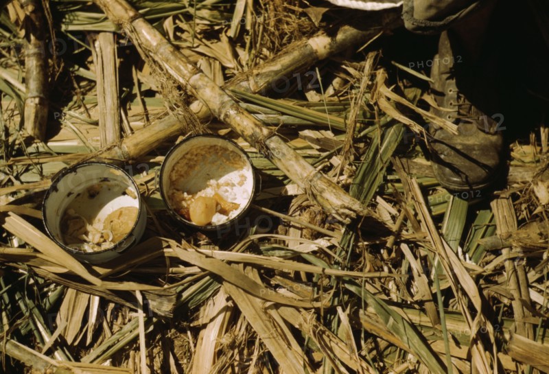 Rice and papaya in the lunch of a sugar worker on a plantation..., Guanica, Puerto Rico, 1942. Creator: Jack Delano.