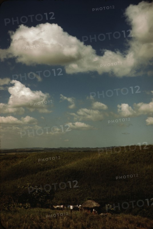 Sugar cane land, vicinity of Rio Piedras, Puerto Rico, 1941. Creator: Jack Delano.