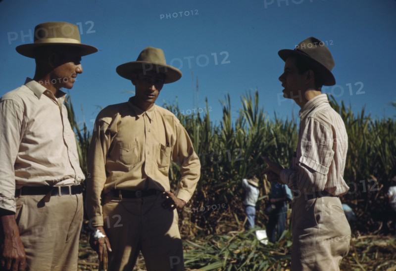 Sugar cane workers, vicinity of Rio Piedras, Puerto Rico, 1941. Creator: Jack Delano.