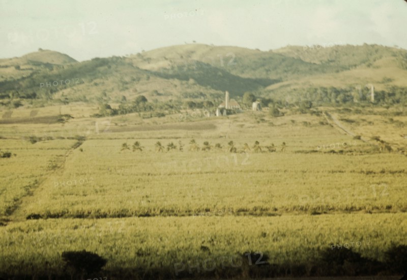 Sugar cane fields on the north-west part of the island, St. Croix island, Virgin Islands, 1941. Creator: Jack Delano.