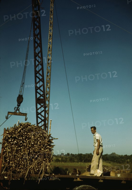 Crane at a "central" sugar cane gathering place, San Sebastian vicinity, Puerto Rico, 1942. Creator: Jack Delano.