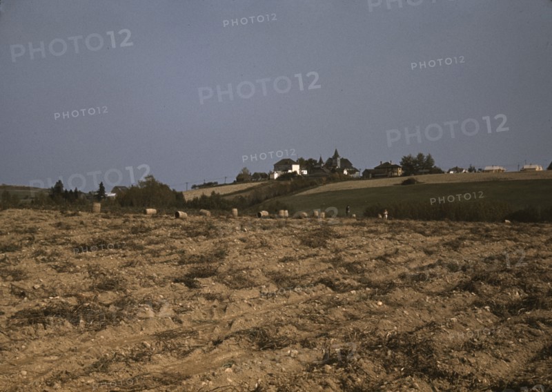 Farm in the vicinity of Van Buren, Aroostook County, Me., 1940. Creator: Jack Delano.
