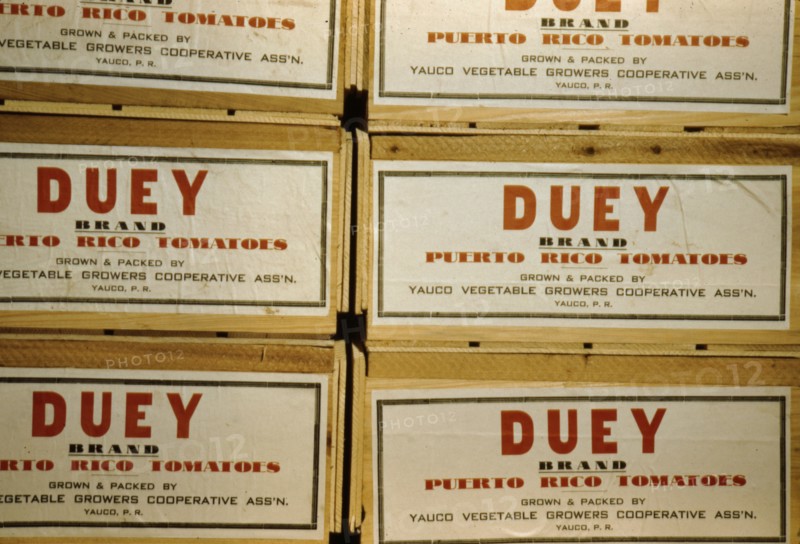 Tomato crates at the Yauco cooperative tomato growers' association, Puerto Rico, 1942. Creator: Jack Delano.