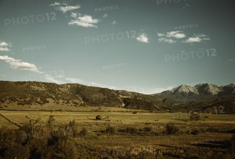 Farmland in the vicinity of Mt. Sneffels, Ouray County, Colorado, 1940. Creator: Russell Lee.