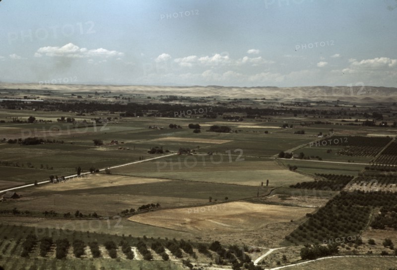 Cherry orchards and farming land, Emmett, Idaho, 1941. Creator: Russell Lee.