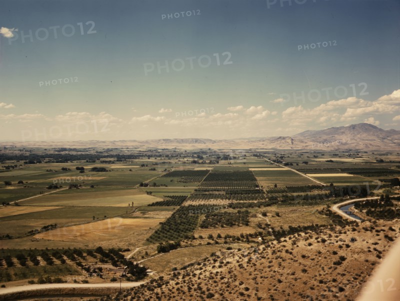 Cherry orchards, farm lands and irrigation ditch at Emmett, Idaho, 1941. Creator: Russell Lee.