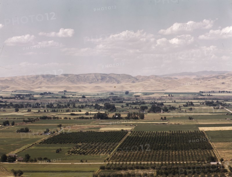 Cherry orchards, farm lands and irrigation ditch at Emmett, Idaho, 1941. Creator: Russell Lee.