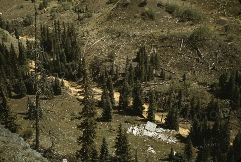 Mountain streams in Ouray County, Colorado, 1940. Creator: Russell Lee.
