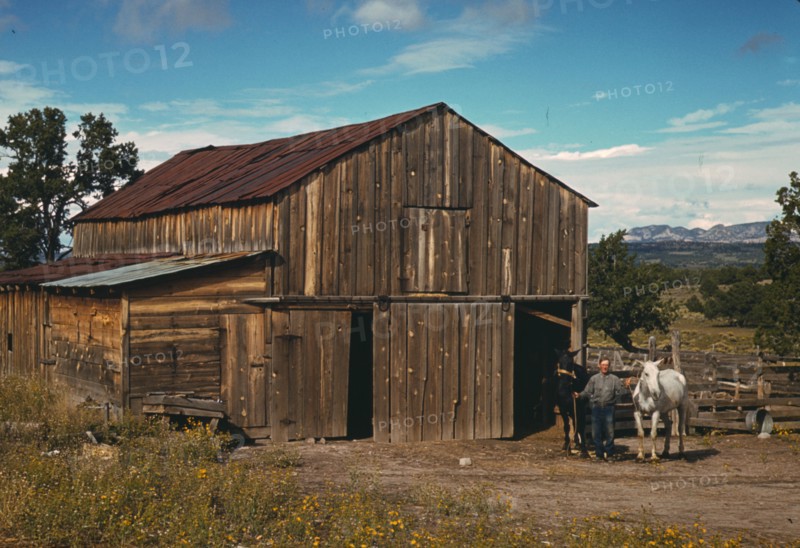 Bill Stagg, homesteader, in front of his barn, Pie Town, New Mexico, 1940. Creator: Russell Lee.