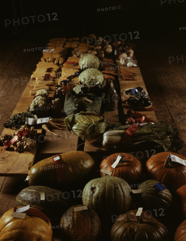 Exhibit of crops and vegetables at the Pie Town, New Mexico Fair, 1940. Creator: Russell Lee.