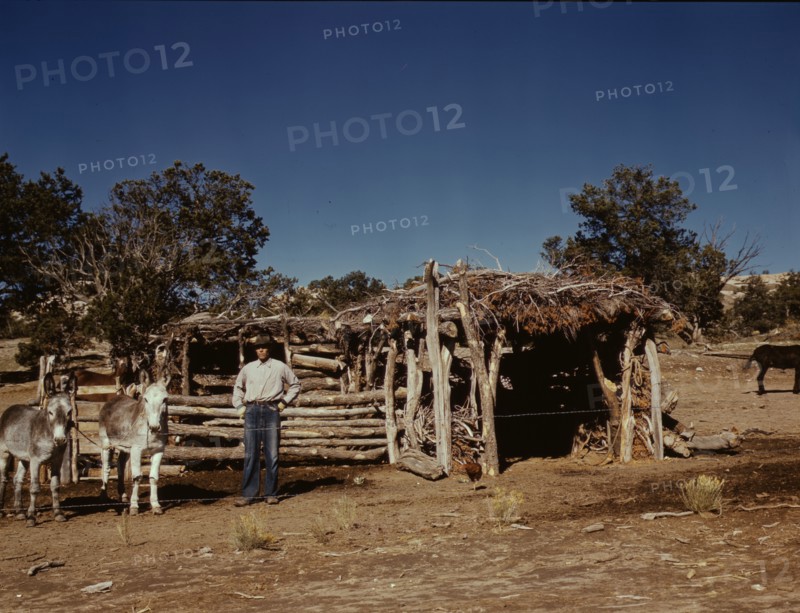Mr. Leatherman, homesteader, with his work burros in front of his barn, Pie Town, New Mexico, 1940. Creator: Russell Lee.