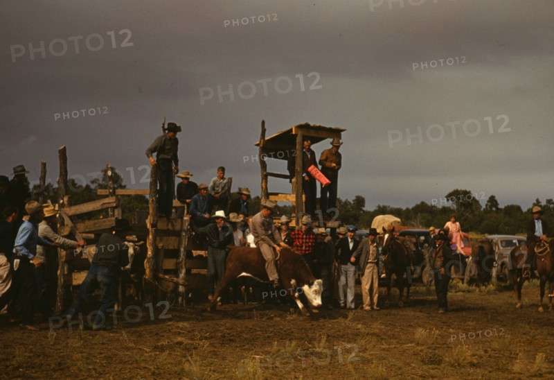 Rodeo at the Pie Town, New Mexico Fair, 1940. Creator: Russell Lee.