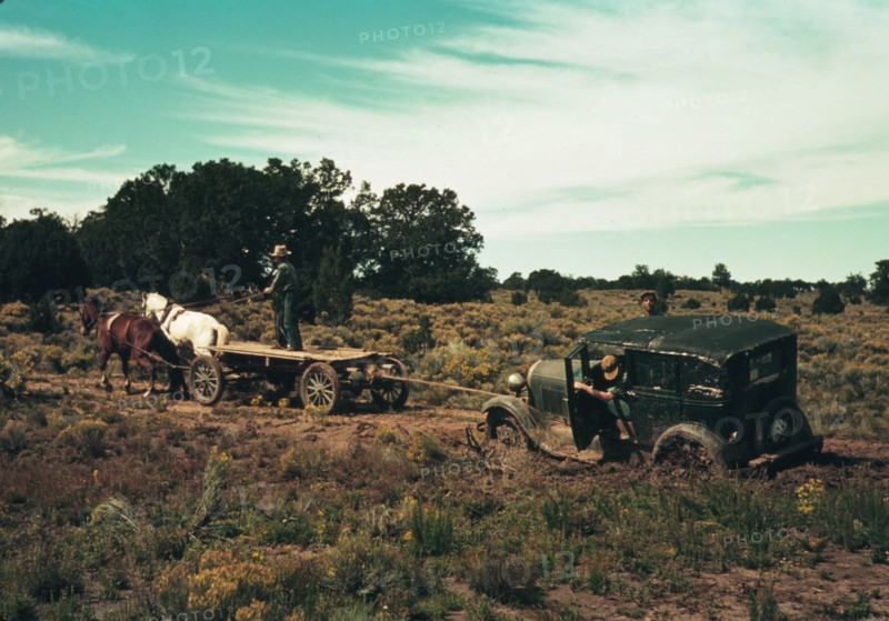 Team pulling a car out of the mud; the roads near Pie Town, New Mexico are not improved, 1940. Creator: Russell Lee.
