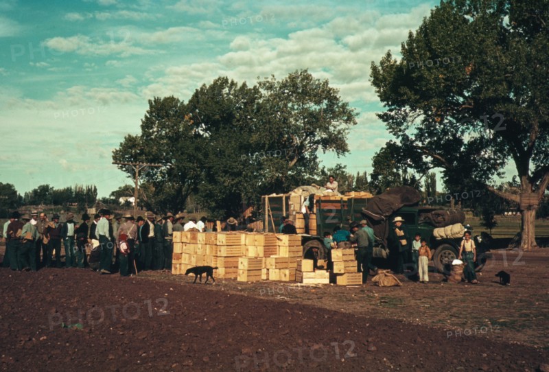 Distributing surplus commodities, St. Johns, Ariz., 1940. Creator: Russell Lee.