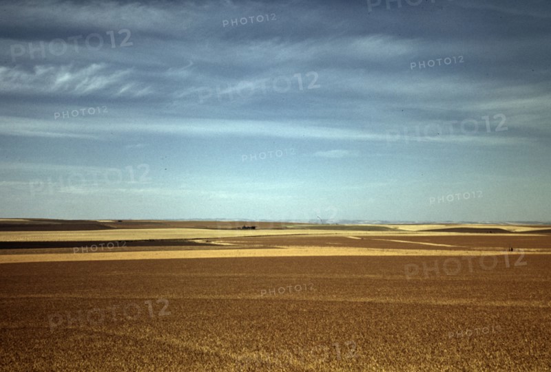 Wheat farm, Walla Walla, Washington, 1941. Creator: Russell Lee.