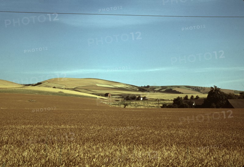 Wheat farm, Walla Walla, Washington, 1941. Creator: Russell Lee.