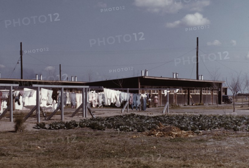 Community clothesline, FSA ... camp, Robstown, Tex., 1942. Creator: Arthur Rothstein.