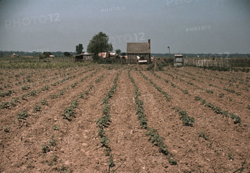 Farm in southern U.S. ... Louisiana?, ca. 1940. Creator: Marion Post Wolcott.