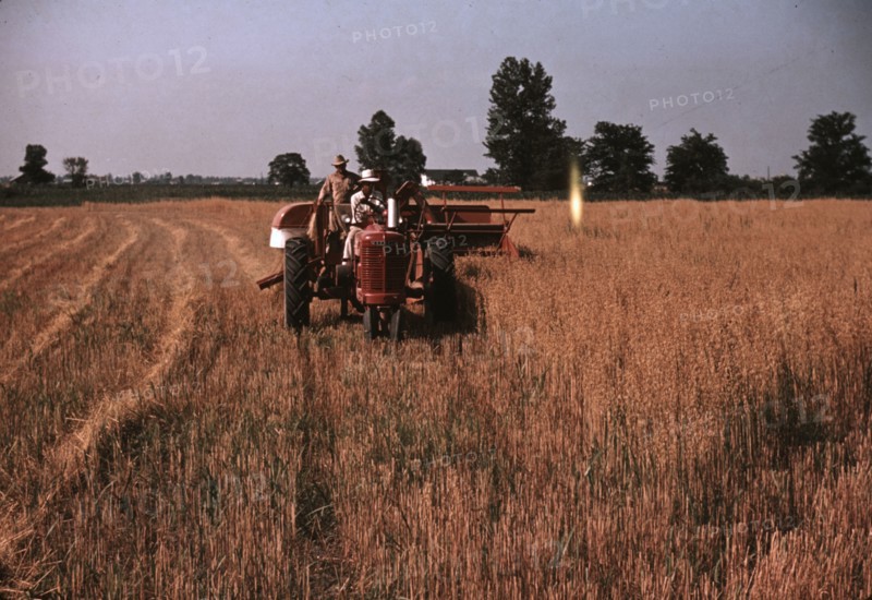 Harvesting oats, southeastern Georgia?, ca. 1940. Creator: Marion Post Wolcott.