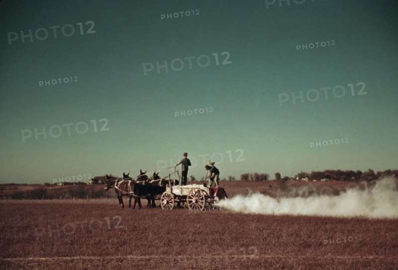 Spreading fertilizer from 4-mule team wagon, Georgia, ca. 1940. Creator: Marion Post Wolcott.