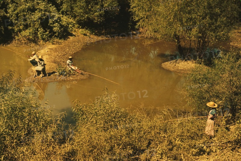 Negroes fishing in creek near cotton plantations outside Belzoni, Miss. Delta, 1939. Creator: Marion Post Wolcott.