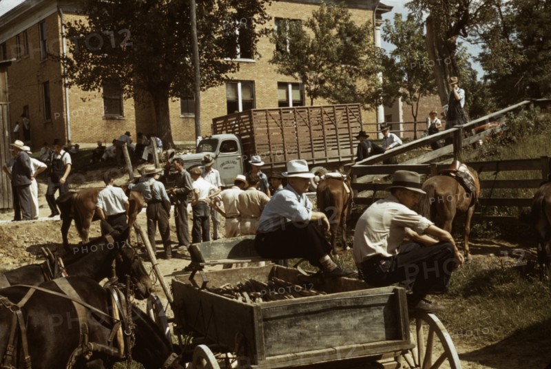 Mountaineers and farmers trading mules and horses on "Jockey St.,", Campton, Wolfe County, Ky., 1940 Creator: Marion Post Wolcott.