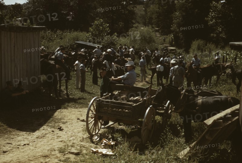 Mountaineers and farmers trading mules and horses on "Jockey St.,", Campton, Wolfe County, Ky., 1940 Creator: Marion Post Wolcott.