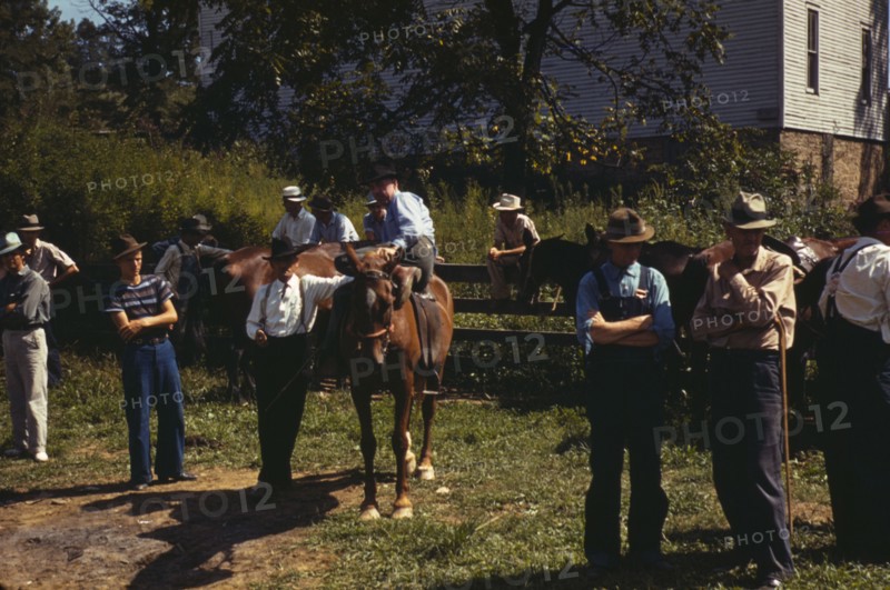 Mountaineers and farmers trading mules and horses on "Jockey St.,", Campton, Wolfe County, Ky., 1940 Creator: Marion Post Wolcott.