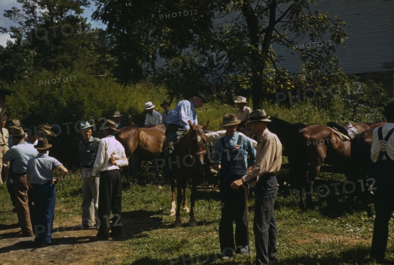 Mountaineers and farmers trading mules and horses on "Jockey St.,", Campton, Wolfe County, Ky., 1940 Creator: Marion Post Wolcott.