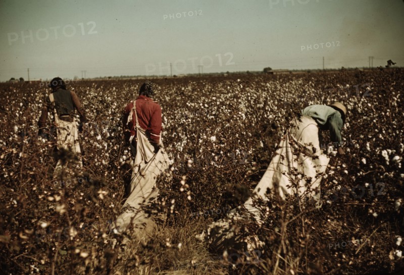 Day laborers picking cotton near Clarksdale, Miss., 1939. Creator: Marion Post Wolcott.