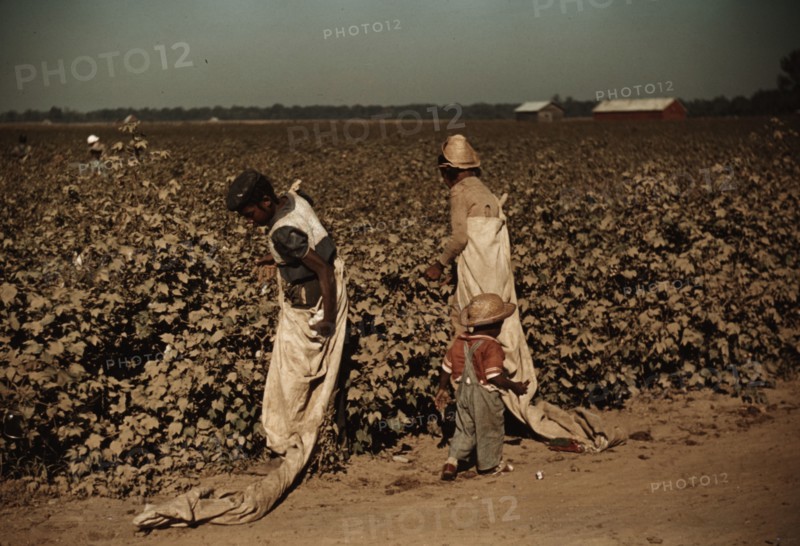 Day laborers picking cotton, near Clarksdale, Miss., 1940. Creator: Marion Post Wolcott.