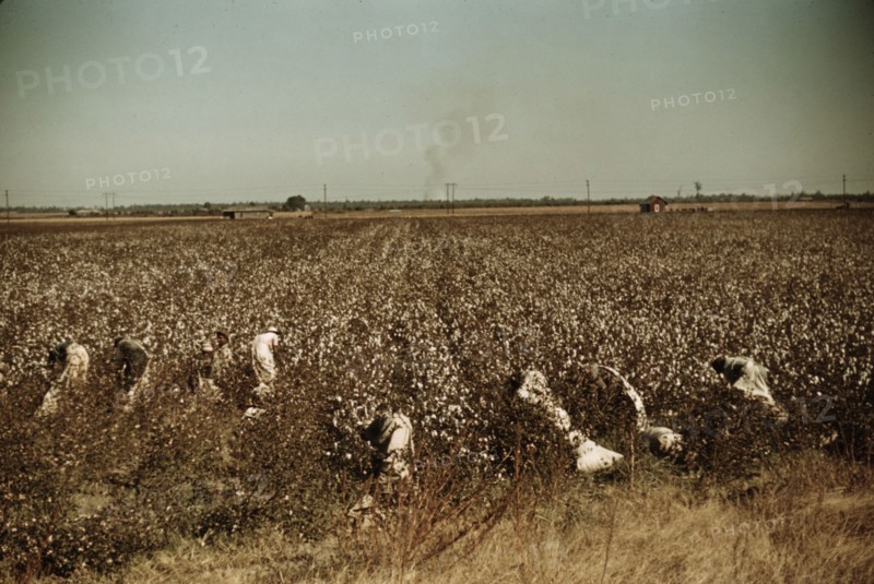 Day laborers picking cotton, near Clarksdale, Miss., 1940. Creator: Marion Post Wolcott.