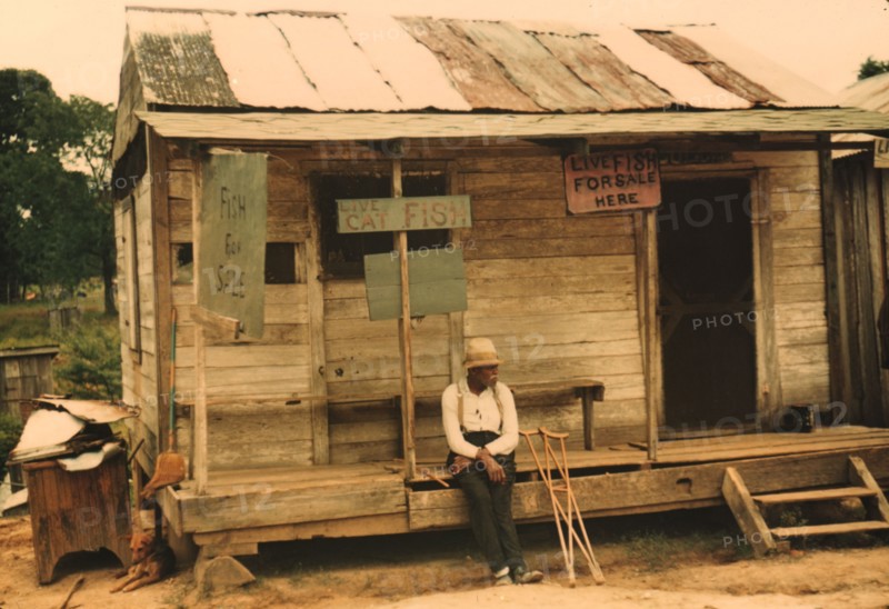 A store with live fish for sale, vicinity of Natchitoches, La., 1940. Creator: Marion Post Wolcott.