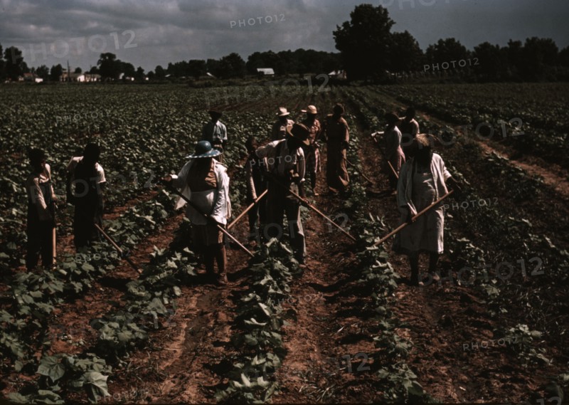 Bayou Bourbeau plantation operated by Bayou Bourbeau Farmstead Assoc..., Natchitoches, La., 1940. Creator: Marion Post Wolcott.