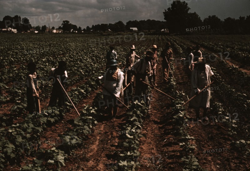 Bayou Bourbeau plantation operated by Bayou Bourbeau Farmstead Assoc..., Natchitoches, La., 1940. Creator: Marion Post Wolcott.