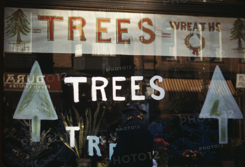 Christmas trees and wreaths in store window display, between 1941 and 1942. Creator: Unknown.