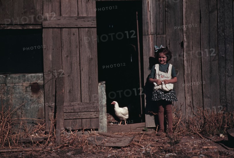 Girl next to barn with chicken, between 1941 and 1942. Creator: Unknown.