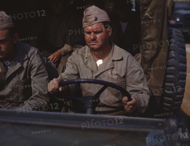 Driver of Marine truck, New River, N.C., 1942. Creator: Alfred T Palmer.